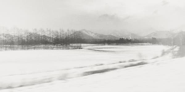 Margaret Lansink, Trail (Concept of Ma), 2019
