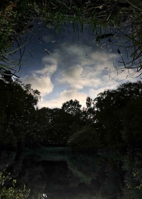 Sayako Sugawara, Clouds in Dark Pond, 2019