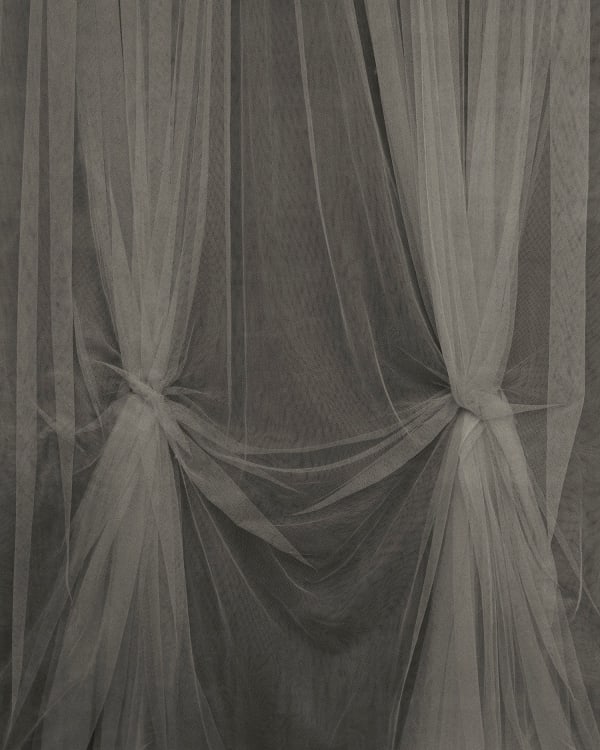 Sayuri Ichida, Absentee #263, 2021