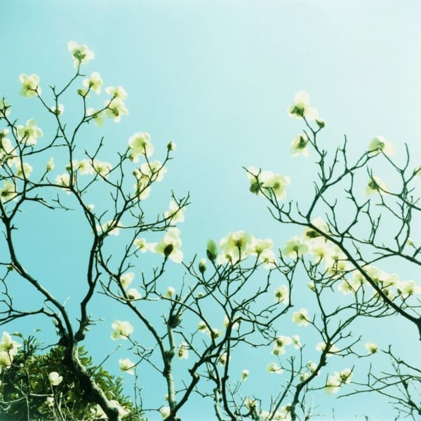 Mikiko Hara, Untitled, 2014 from These are Days (#062)