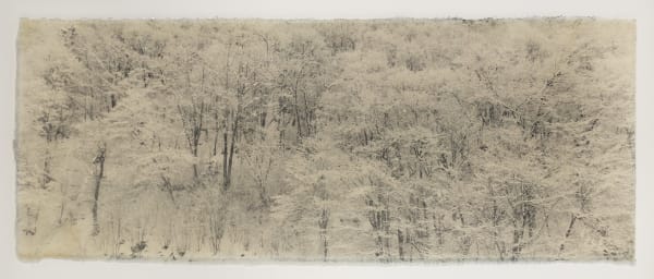 Naohiro Ninomiya, Silence Blanc, 2025