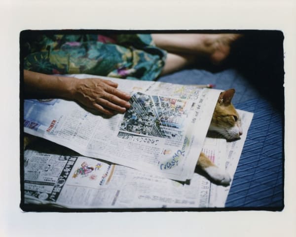 NEKO Project, Toshiko Hashimoto - Untitled