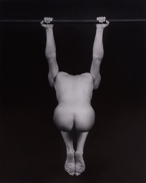 BODY and IRAN BAR
