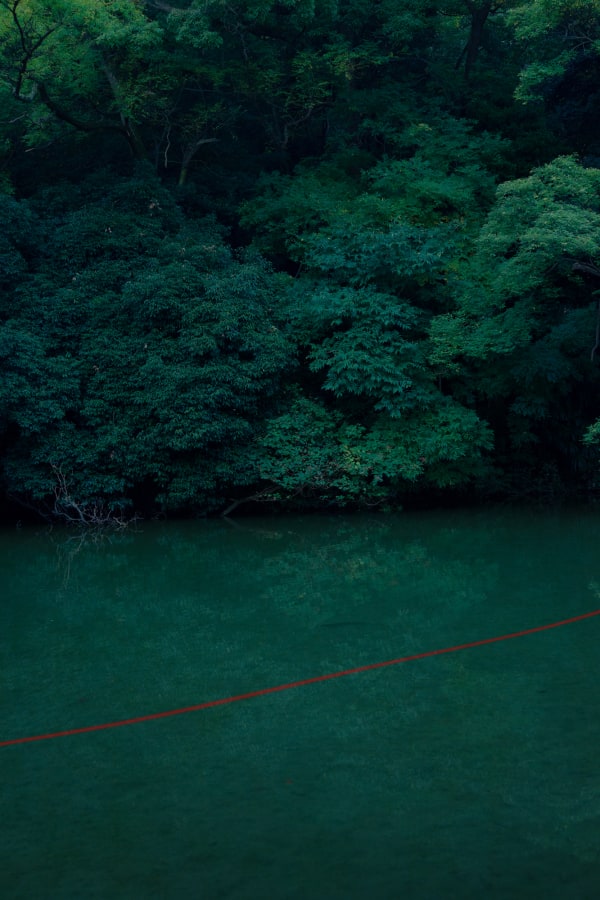 Albarrán Cabrera, The Mouth of Krishna #721, 2016