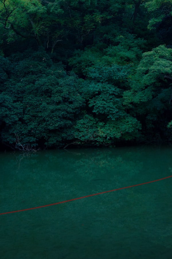 Albarrán Cabrera, The Mouth of Krishna #721, 2016