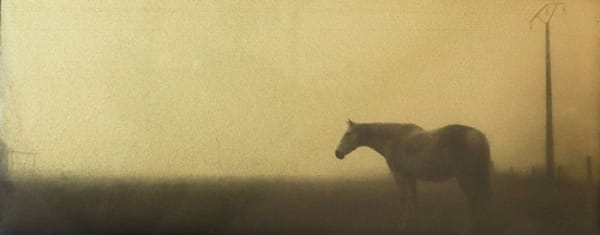 Naohiro Ninomiya, Glanage-8, 2019