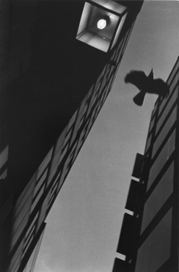 Asako Narahashi, Untitled (Plate 1071), from Nu-e, 1994/2017