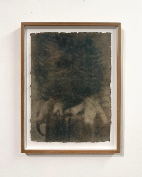 Justus de Rode, Ravenous desire to prey upon the softwooled, 2024