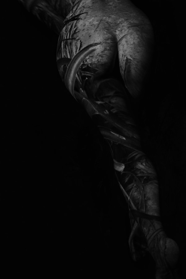 Yoko Mazuki, Muddy Pineapple, 2000