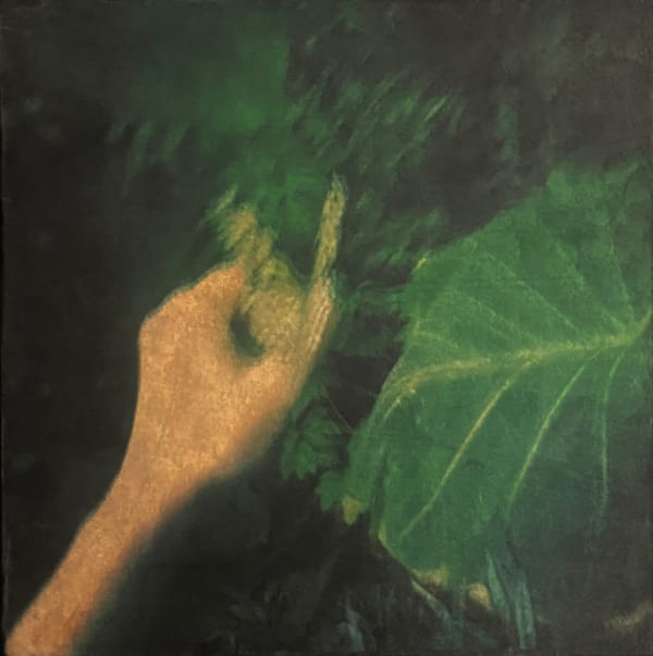 Miho Kajioka, CL0002, 2014