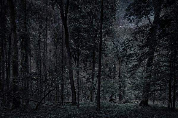 Thierry Cohen, Carbon Catchers no. 14