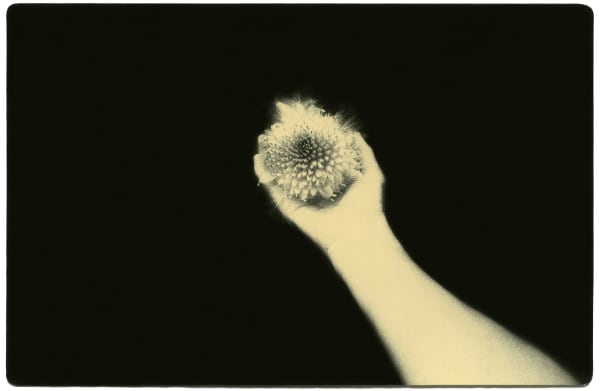 Miho Kajioka, BK0100, 2015