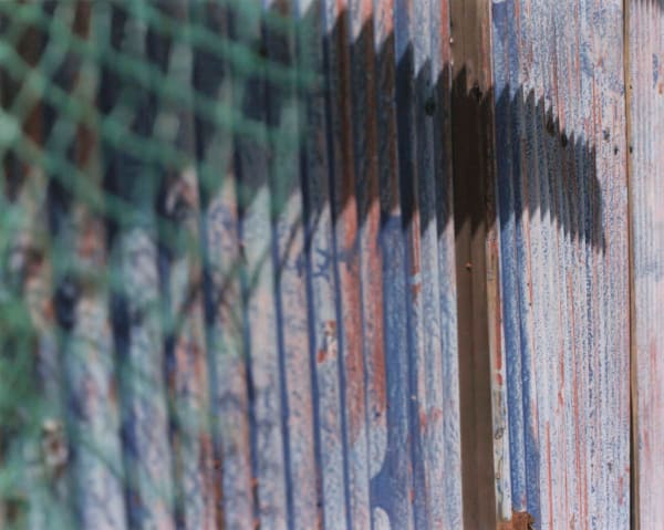 Yoko Ikeda, 1965-06 Nanbu Town, Yamanashi Prefecture, 2021