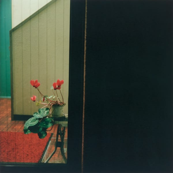 Mikiko Hara, Untitled from Medeia (#298)