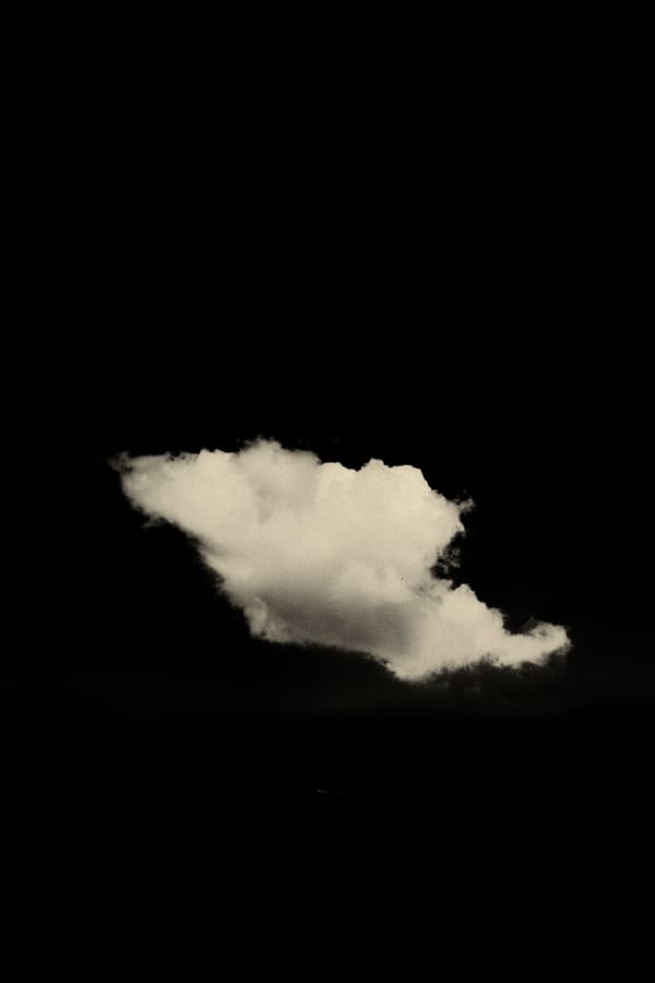 Paul Cupido, Kumo (Cloud), 2019