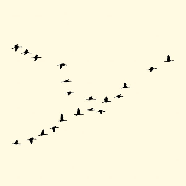 François Laxalt, Vingt / Twenty, 2008