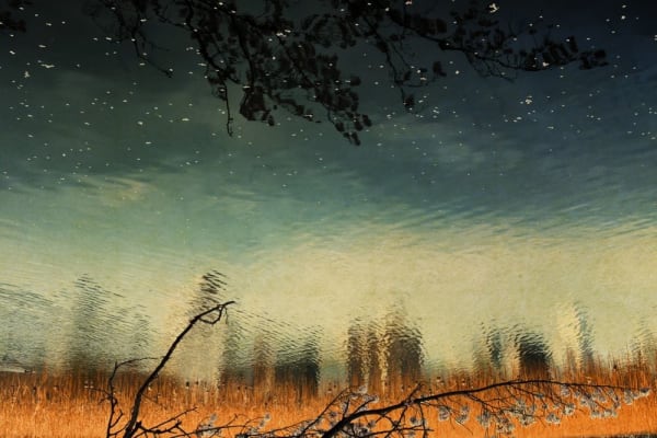 Albarrán Cabrera, The Mouth of Krishna #50175, 2013/2017