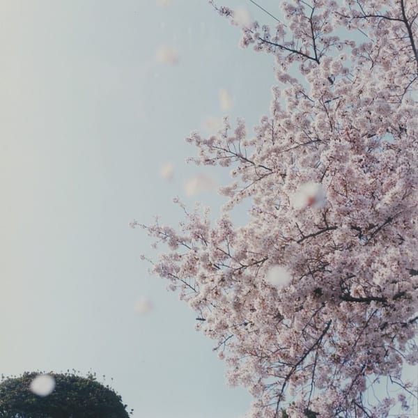 Hiromi Kakimoto, Little World #13, 2001-2004