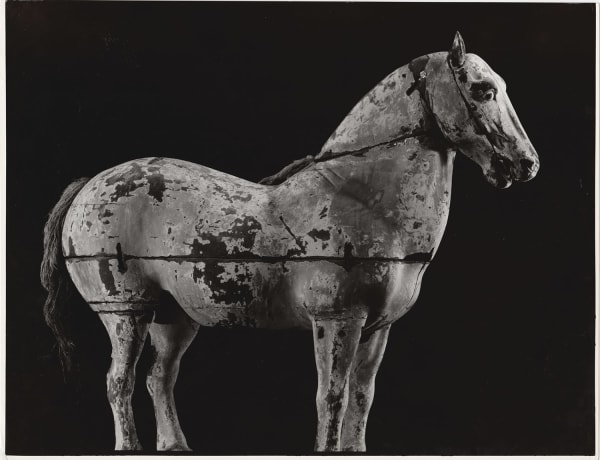 Ken Domon, Koji Junrai - Plate 099, 1963-1972