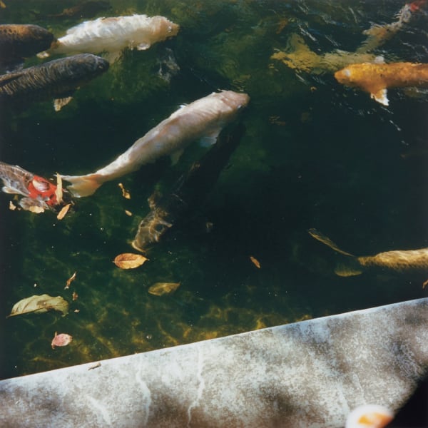 Mikiko Hara, Untitled from Medeia (#278)