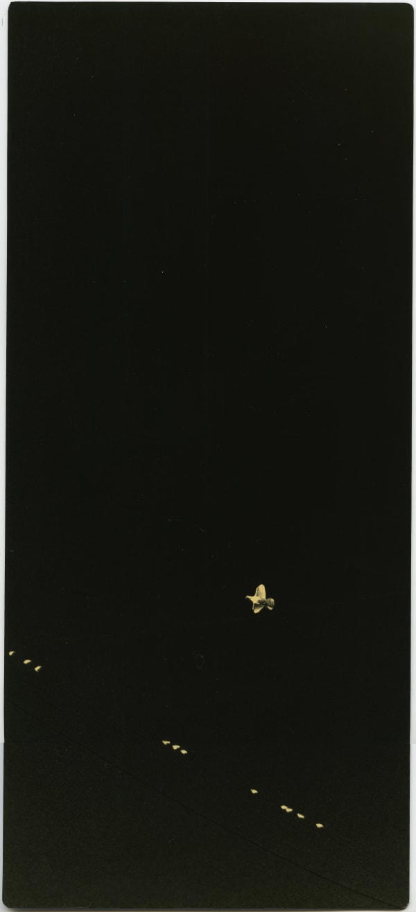 Miho Kajioka, #0004, 2020