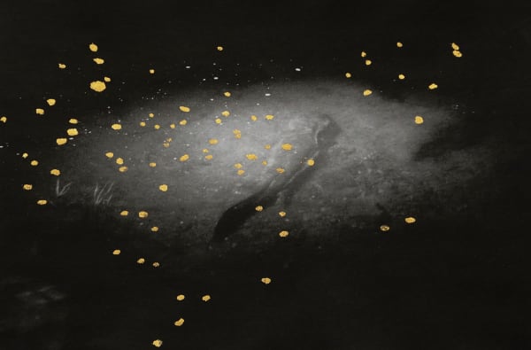 Anaïs Lopez, The Salamander, 2022/2025