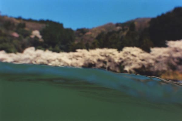 Asako Narahashi, Biwako (Plate #Biwako-01), 2014