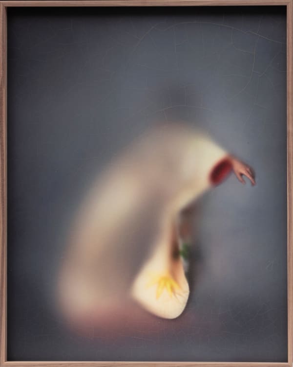 Casper Faassen, Mado 2, 2020