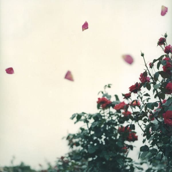 Hiromi Kakimoto, Little World #23, 2001-2004