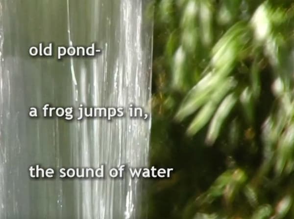 Madelon Hooykaas, Old pond Haiku, from 'Haiku, the art of the present moment', 2007/2023