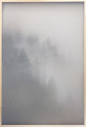 Casper Faassen, Pine Trees IV, 2023