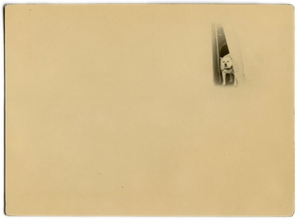 Miho Kajioka, BK0573, 2016