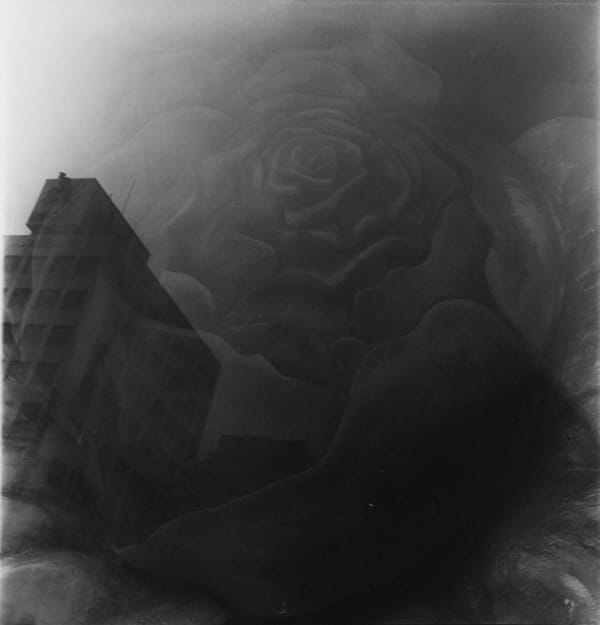 Asako Narahashi, Untitled (Plate 1095), from Nu-e, 1994/2017
