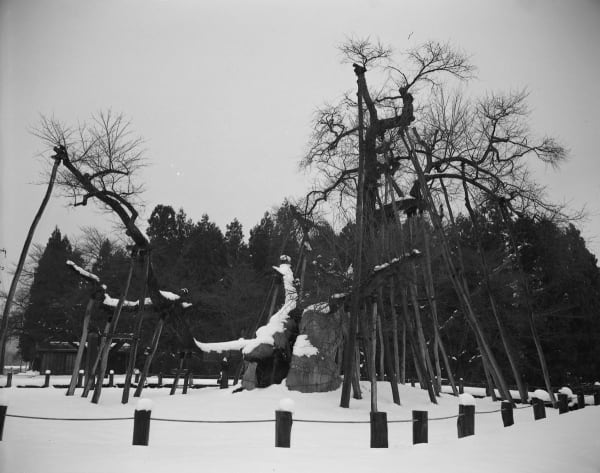 Keiichi Ito, Okitama Yamagata-ken, 2012