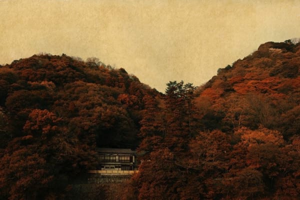 Albarrán Cabrera, The Mouth of Krishna #274, 2015/2019