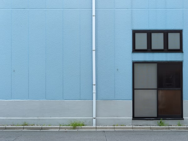 Bert Danckaert, True Nature #149 (Tokyo), 2019