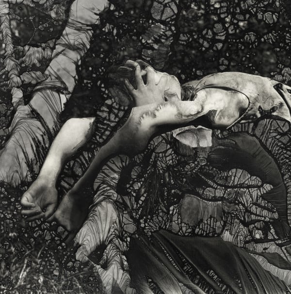 Ingrid Dorner, Liminal17, 2022