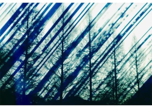 Ken Kitano, Gathering Light, Kiyosato, Hokuto City, Yamanashi, from winter solstice 2016 to summer solstice 2017