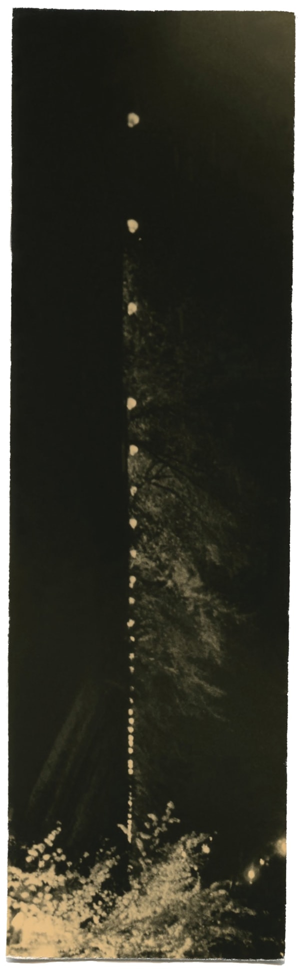 Miho Kajioka, BK0070, 2014