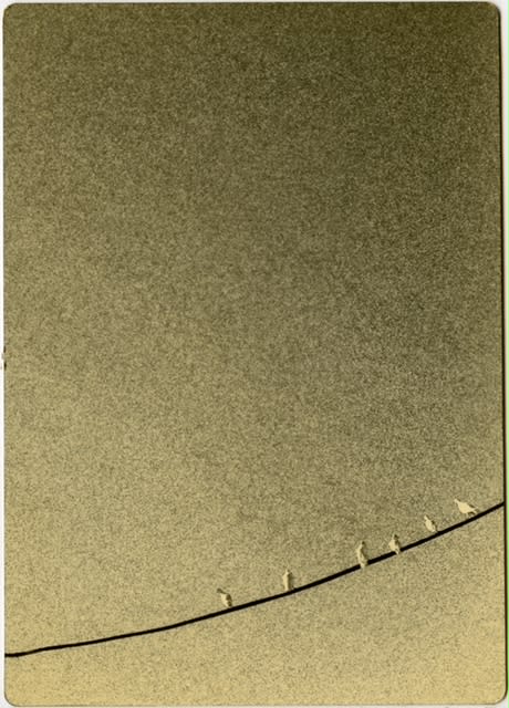 Miho Kajioka, #0005, 2020