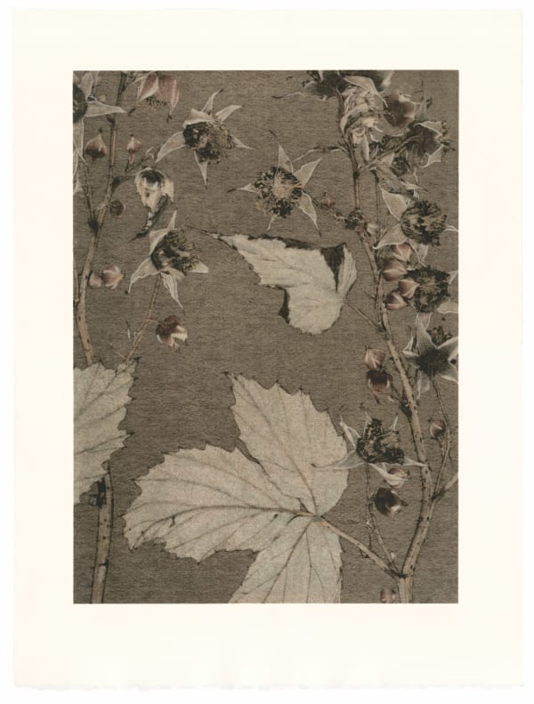 Un jardin pour Eugène D.