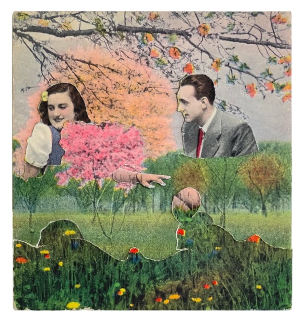 Kensuke Koike, Peach, 2024