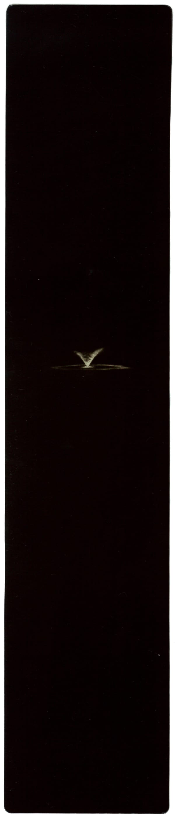 Miho Kajioka, BK0283, 2010