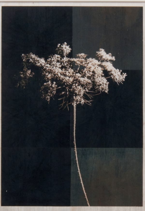 Norio Takasugi, gb-4, 2018