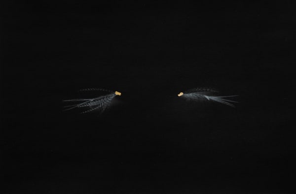 Anaïs Lopez, Mayflies, 2021/2025