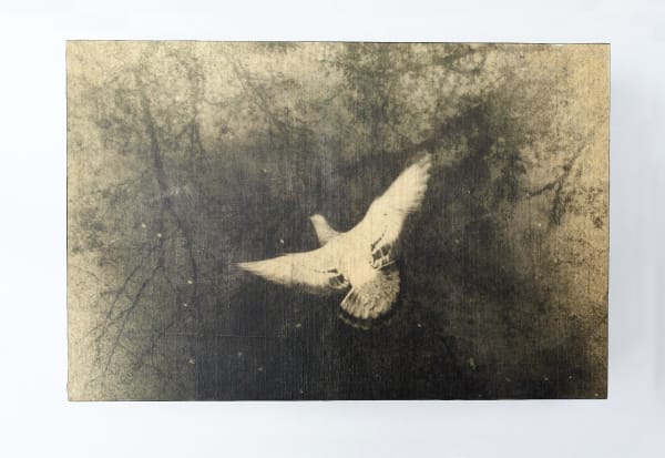 Miho Kajioka, and, do you still hear the peacocks?, 2021