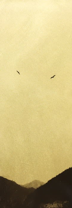 Naohiro Ninomiya, Glanage-24, 2019