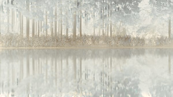 Hayato Takekoshi, 草本の生, 2021