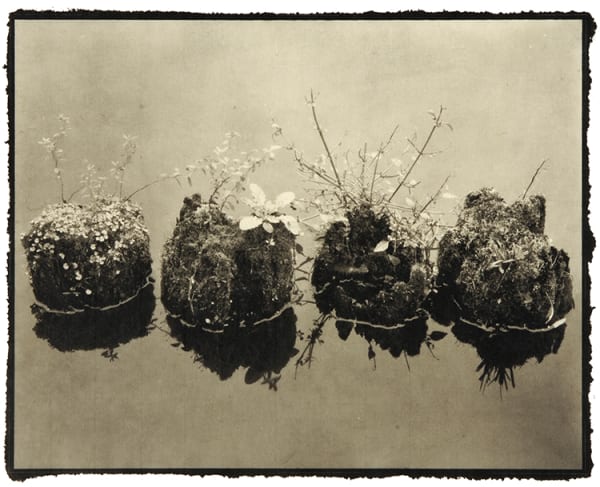 Nobuyuki Kobayashi, wa, 2000