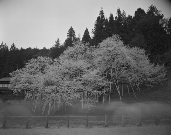 Keiichi Ito, Takayama Gifu-ken, 2014